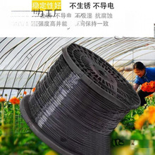 ��䓾�ֱ�N�����Bֳ�Ĥ��������Ĥ���r�I���@���ҾW