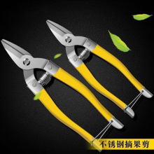 ���P䓶๦�ܲɹ�ժ����ɳ�Ǹ̽��߹������޼�֦��