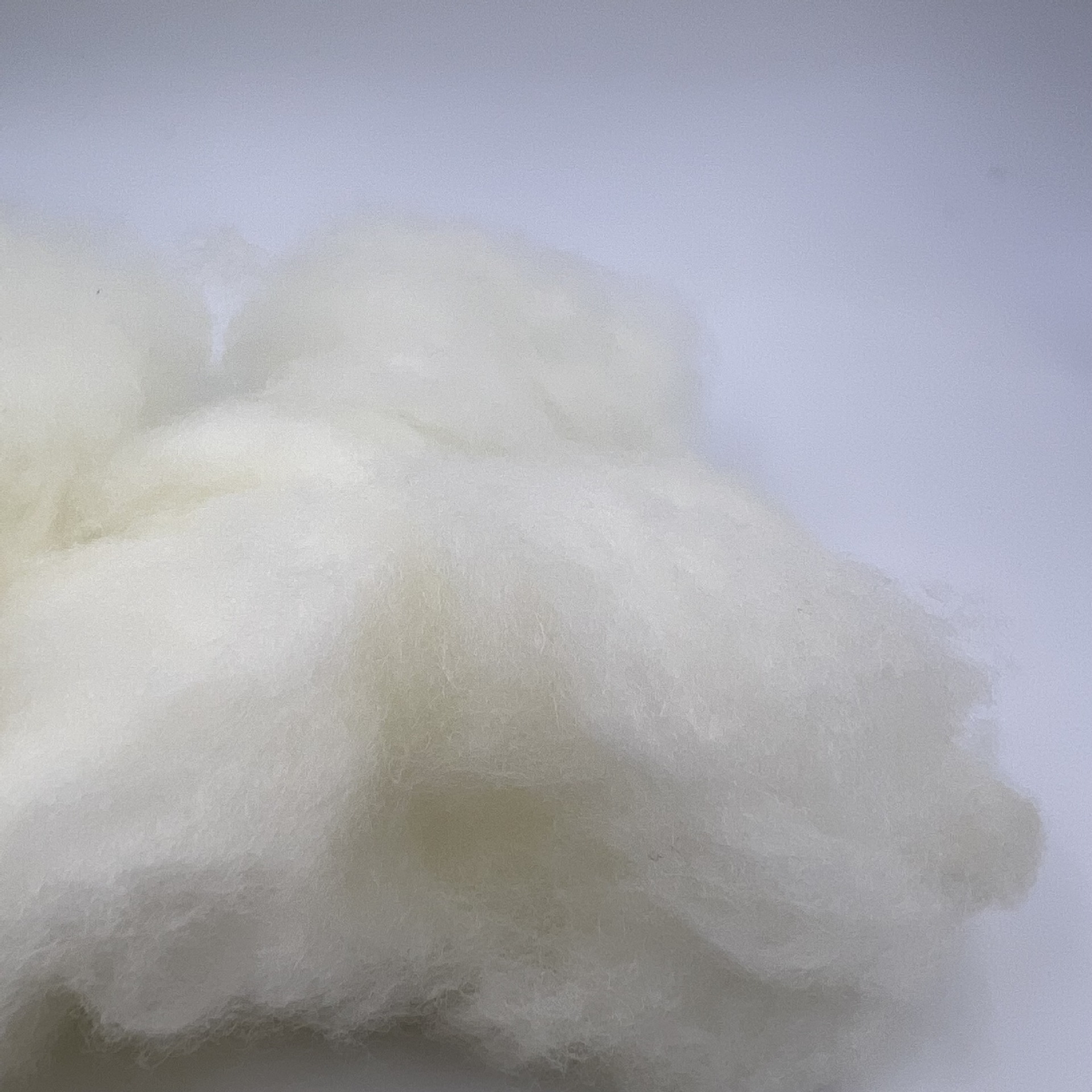 Wholesale combed 70-count sheep wool