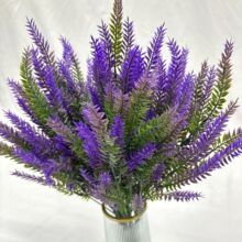 滨޹²ݼҾӔ[ٻ߼辰Կ͏dGֲb滨l