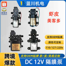 外贸爆款DC12V小型智能隔膜泵电动喷雾器增压水泵直流高压水泵