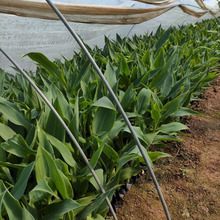 ˮ�����˽� ���ݻ���ֱ�� ���˽� �t�� �ۻ� ���~���˽� ����ă�