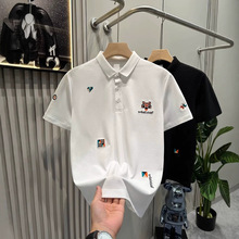 ��ʿ���e�̽�polo������2026�¿��ļ����·������bƦ���L���It��