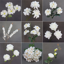 ��ɫϵ��c����Y���ò廨��ˇ������ĵ�����������b��ٻ�