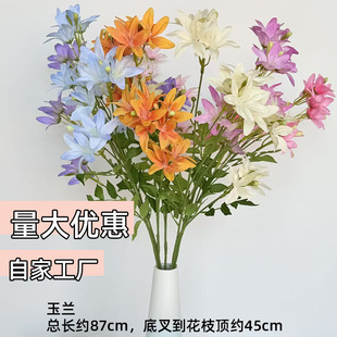 �L֦���m���滨��c���߾��l���Ŀ͏d�zӰ�����L�l�ٻ������b�