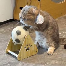 ؈K؈ץʽĥм˽␞ĥצ