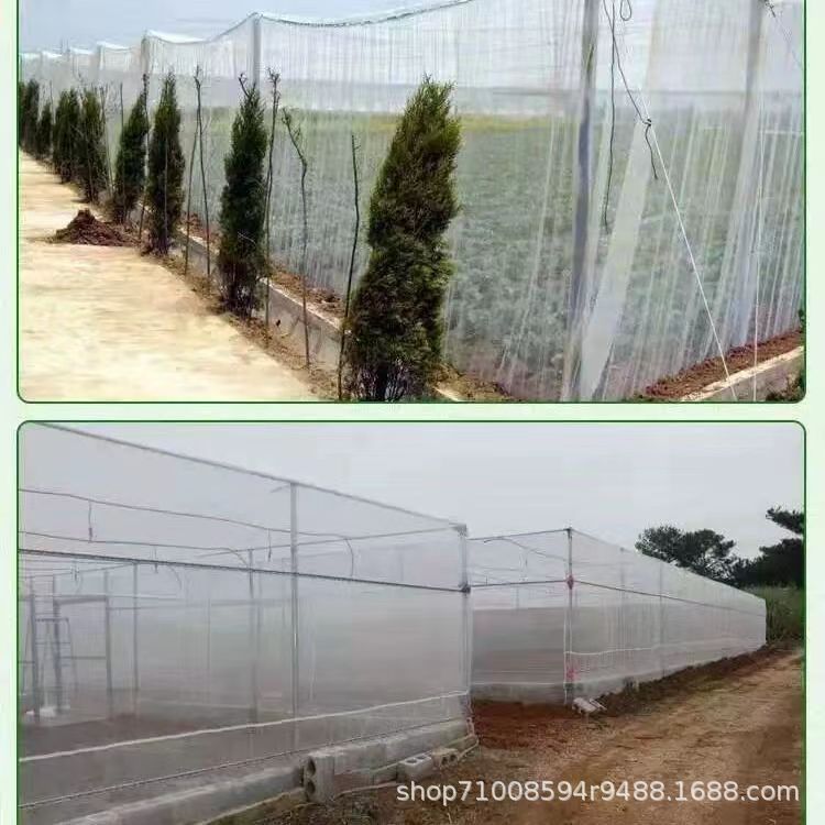 冰雹网8 - 副本.jpg