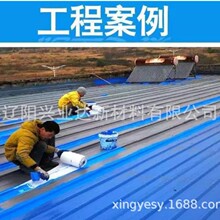 ����픸�ɫ�����߷�������������P����������P�F�P�D����S