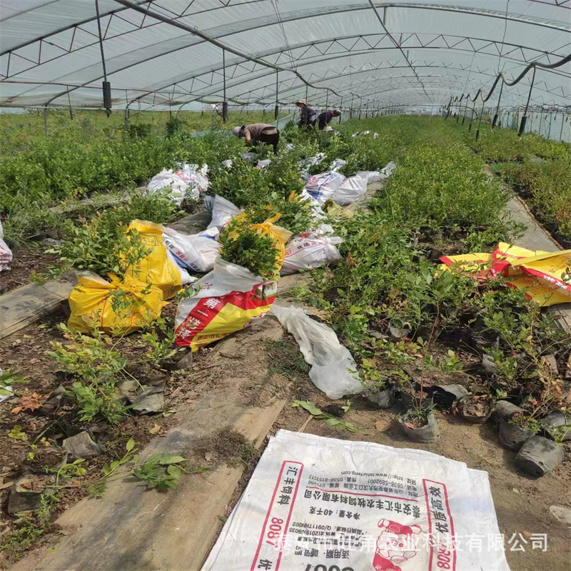 b04f064a6e7a2c5344103c642913fe