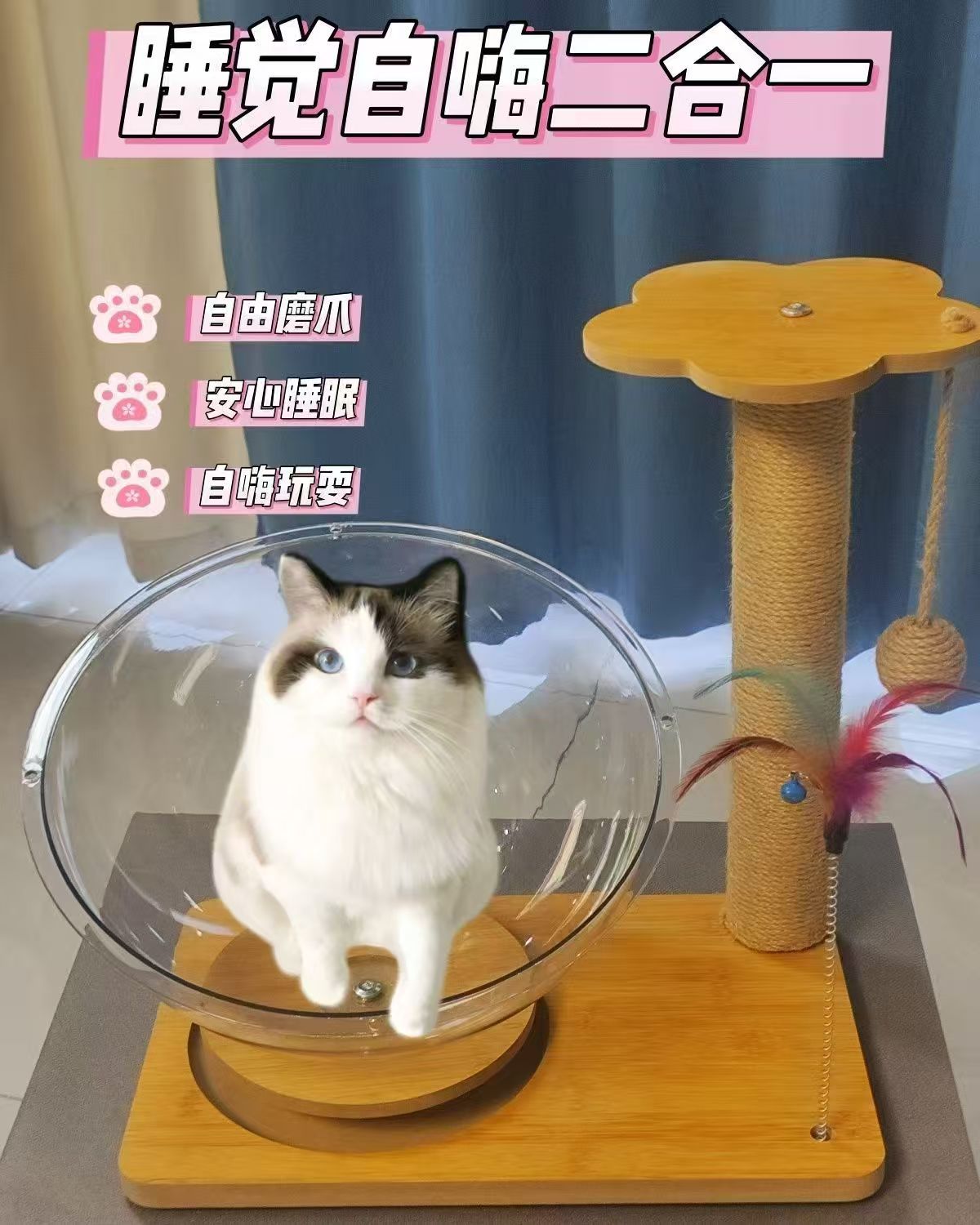 微信图片_20250213124322