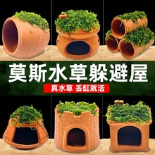 ˮ�Z�~�~��ˮ���쾰Ī˹ˮ�ݑ�����ֲ���ܹ��r�ݔ[��С�~�����