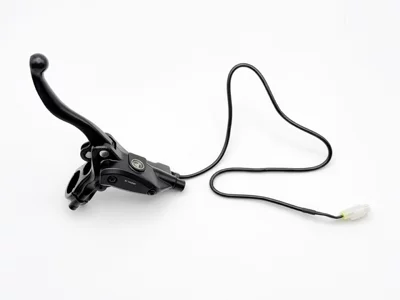Disc for Light Bee, Other brake systems - front-brake-broken-wire