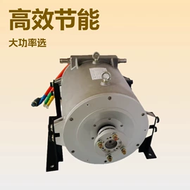 电动车电动机;船发动机配件;特殊电机