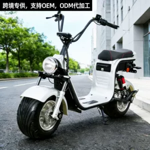 Cp-2.1 Harley Elektrikli Motosikl, Avropa EEC COC Sertifikatlı Elektrikli Skuter