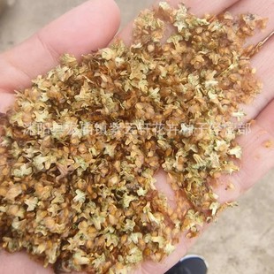 �ט�N���²ɰט�N�� �ט��N�� ���N�� ��ľ�N�� ��Ƥ��@��