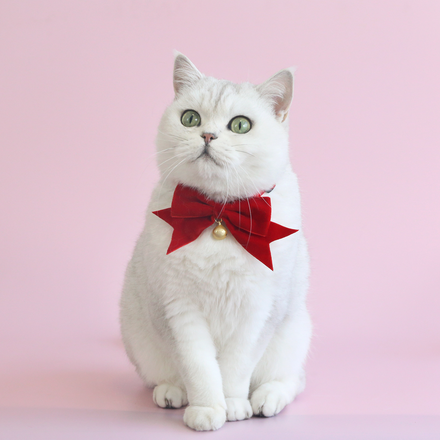 Navidad Año Nuevo gatos cachorros princesas cumpleaños corbata corbata anti-asfixia collar