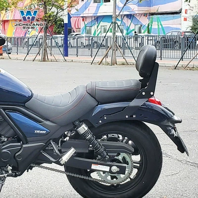 tail wing multifunctional folding backrest — Motorcycle tail