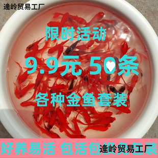 ���~���\��С���~���^�p�~�ͻˮ����~������B���B��ؔ��ˮ