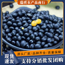 �|���������r���´򶹝{�ԷN�SоС�ڶ���ȼZ��Ҏ����x