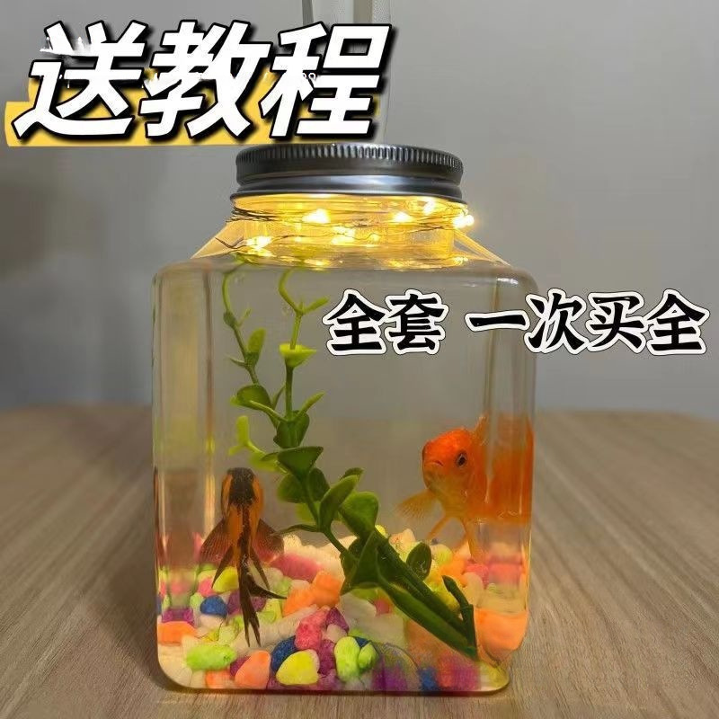 O1CN01x0izJ52MkEGGxzAGE_!!2220256049865-