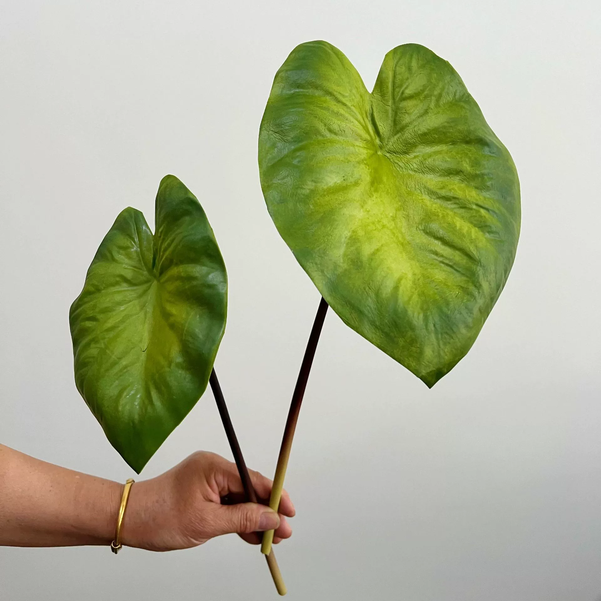 Имитированное растение Hanyang лист PU ощущение весной побег таро лист зелёный лебедь лист украшение для сада отель декоративное искусственные цветы