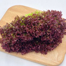 ���r�t�~���� �t�~�n�� ���~���� �të �t߅���� �tɺ������250g