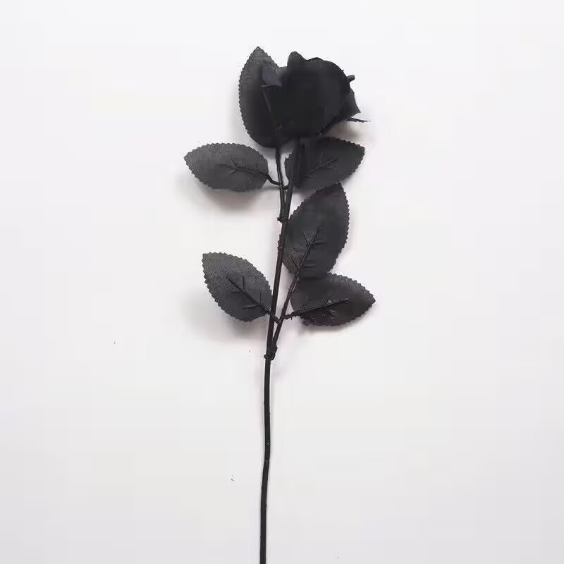 검은 장미 2송이