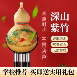 乐器配件;吹奏类乐器;打击类乐器