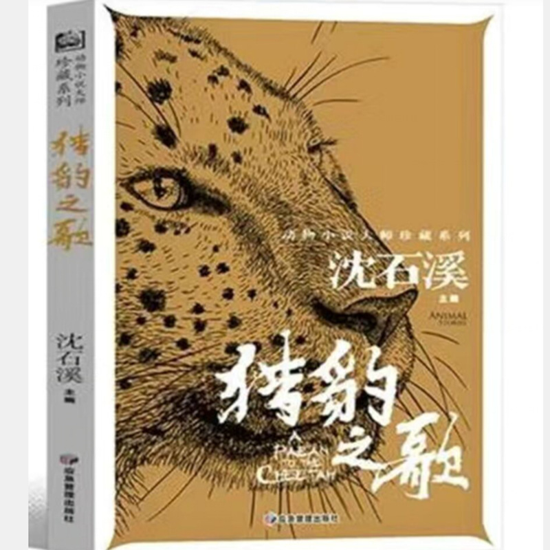 沈石溪动物小说猎豹之歌一二三四五六年级课外青少年儿童文学书