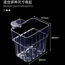 �G�}��ֲ��ˮ�ݱ�ˮ�ϲ�ˮ��ͦˮֲ���ʽ��ֲ�@�~���b�