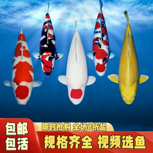 �\��ʢ���ձ����ڼt�����μ��N�^�p�~�����Bβ��ˮ���B��ϵ���ڽ�