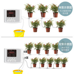 Amazon Reprint Logo Solar Dual Pump Automatic Watering Device Lazy Man Automatic Plant Watering Device Plant Watering Gadget Manufacturer