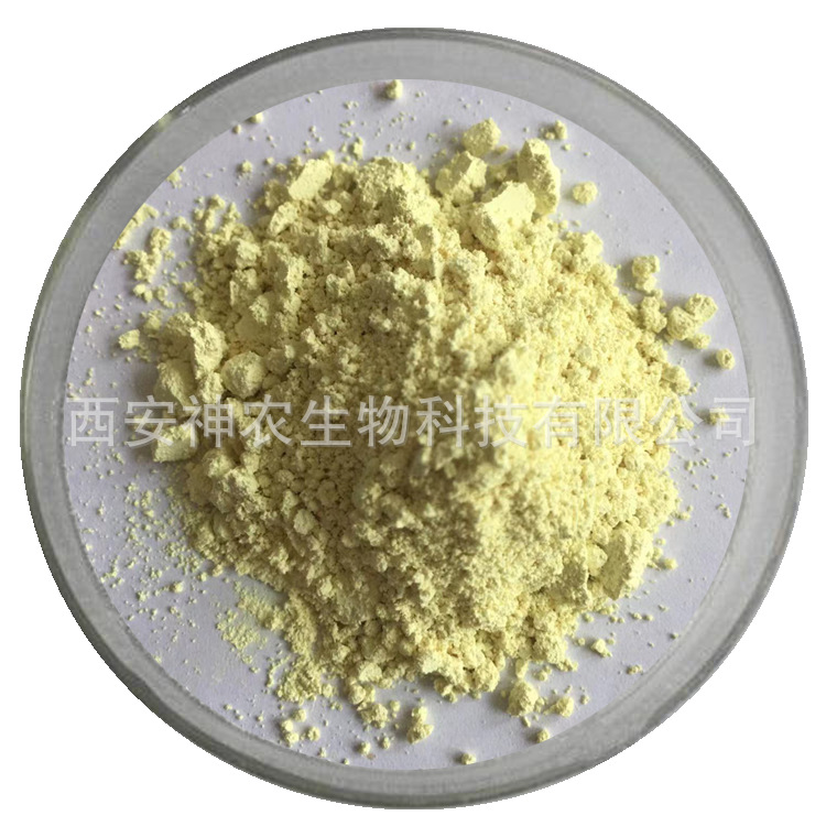 异槲皮素98%异槲皮苷Isoquercitrin 482-35-9 槐米提取物 100g/袋