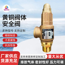 �S��ֱ�lSS��ȫй���y ����й���y���{��ȫ�y�~��ȫ�y�M�ڰ�ȫ�y