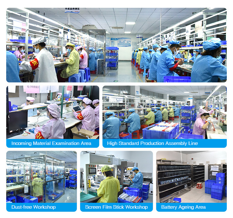 一键复制_20240223154350