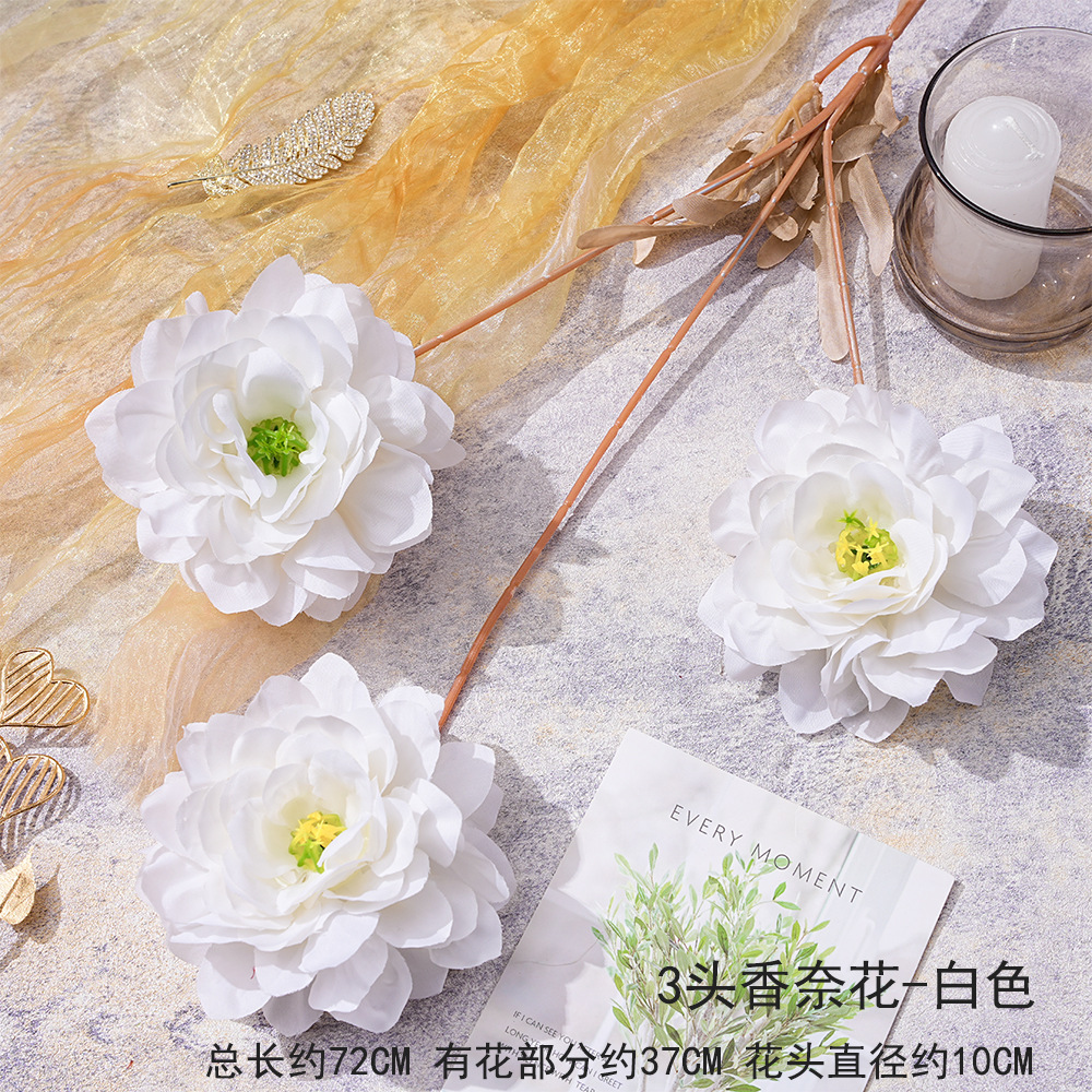 แอลแอลดับเบิลยู 3 หัว ชานเล่ - สีขาว