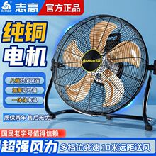 ־��ſ���ȹ��I���ʽ���L����L��̨��ʽ���ʏ�������������