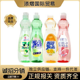 日本进口火箭ROCKET家用厨房餐厅餐具果蔬清洁液洗洁精600ml