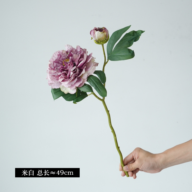 다크 퍼플