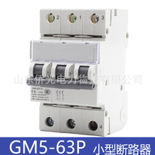 北京人民电器固安祥GM5-63P 2P250V3P750V4PDC1000V直流断路器