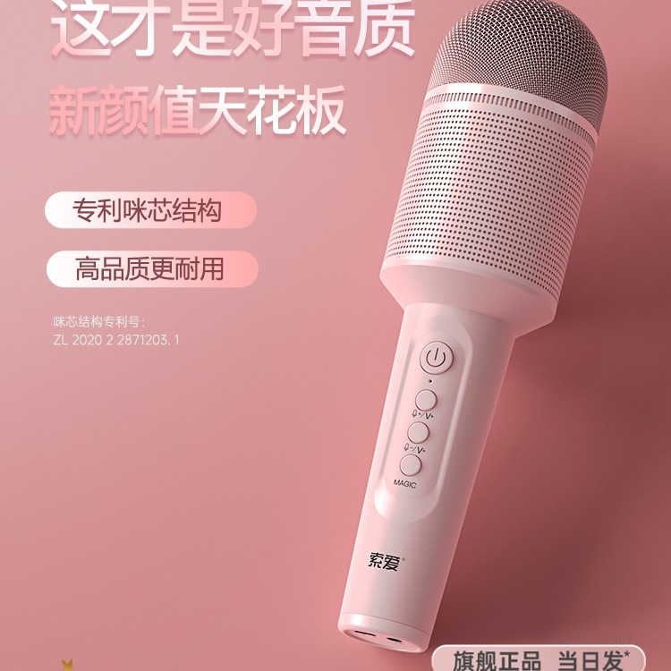 Microphone and Speaker Integrated Wireless Bluetooth Children's Singing Home Ktv Tv Karaoke Device