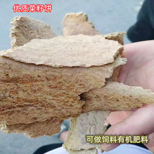 ����C����~�D�ϴ�C��ҹ�C���ӿ�Ұ឵׸C�Ϳݲ����ʿ���