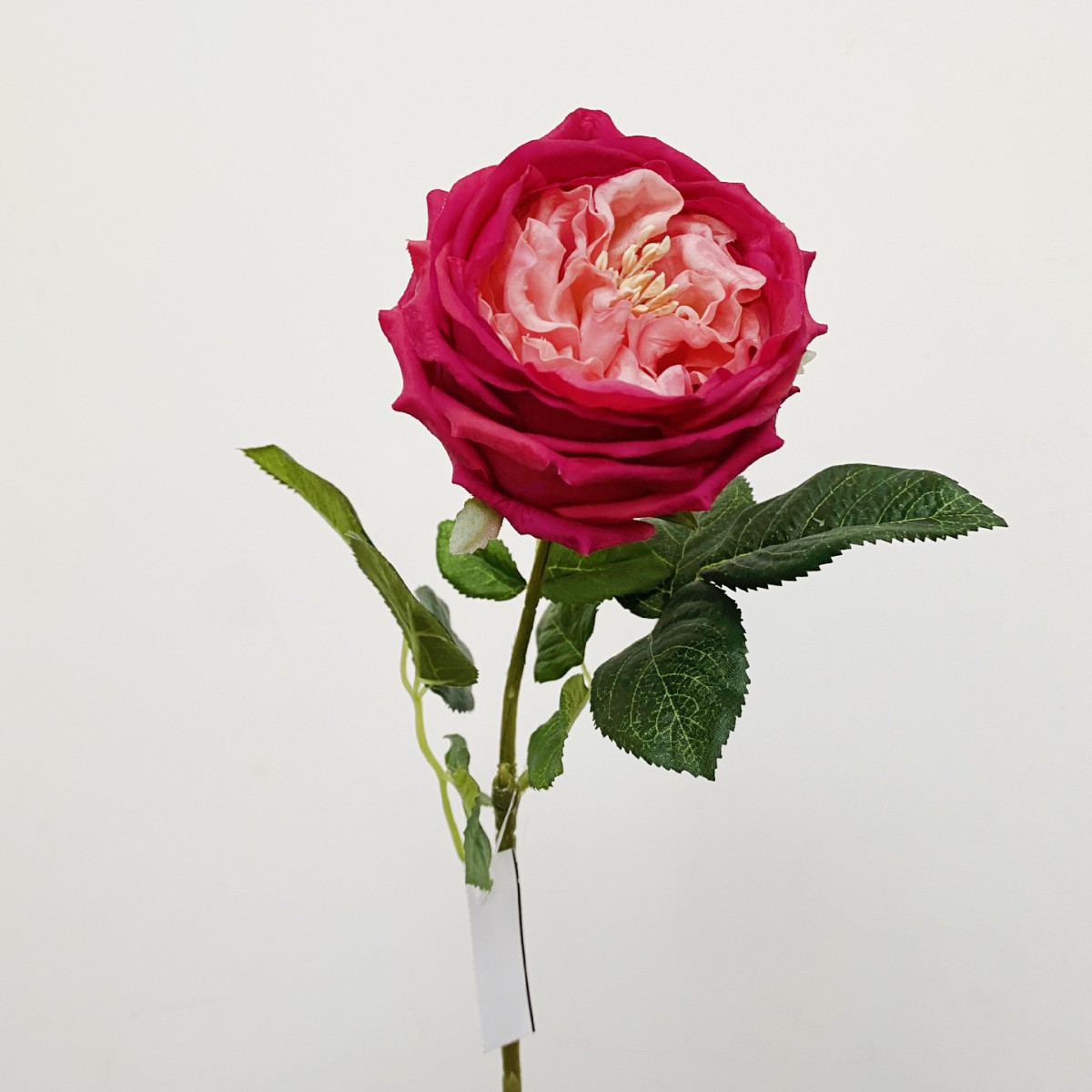 Rosas Austin simuladas, flores artificiales de alta calidad con tacto realista y efecto hidratante, ideales para arreglos de boda y decoración del hogar.