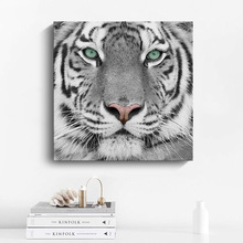 �b��ϻ����s�ڰ׬F���k���Ғ쮋�Ƶ����޼Ҿӱڮ��羳�ȿ�