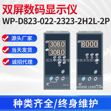 双屏数码显示数字显示仪WP-D823-022-2323-2H2L-2P 双回路显示仪