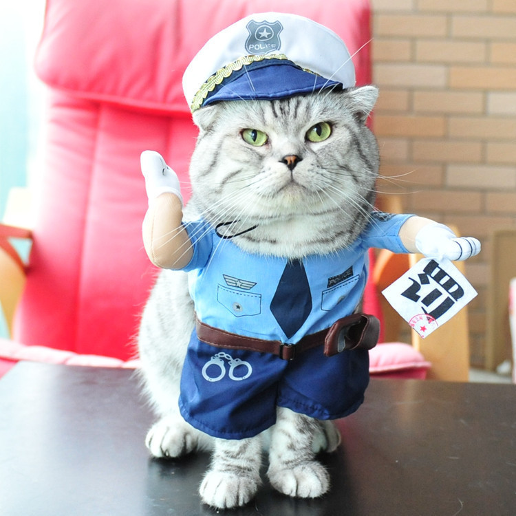 Halloween Pet Supplies Cute Funny Cat Costumes Three-Dimensional Transformation Costumes Dog and Cat Clothes