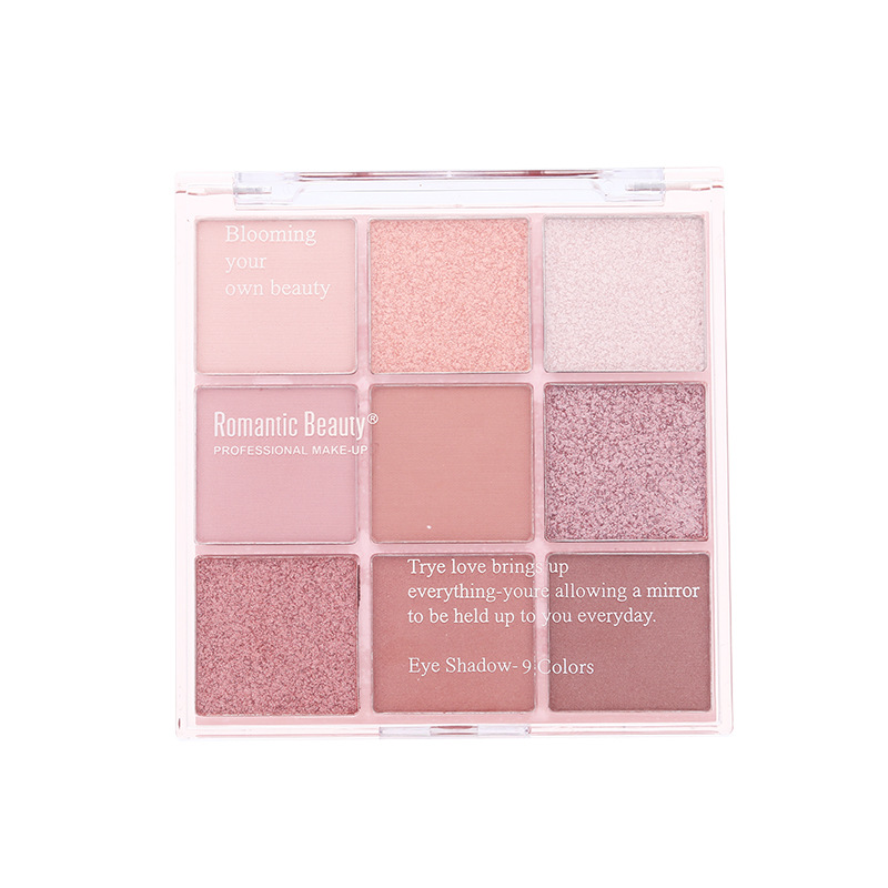 RMT transfronterizo nueve color eye shadow panel multicolor maquillaje matte gran maquillaje marrón maquillaje de belleza gran marrón maquillaje de ojos panel de mujer image 6