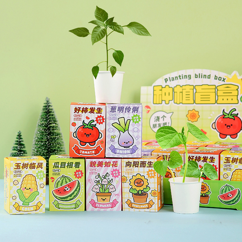 New Planting Blind Box Children's Plant Pots Small Potted Plants Kindergarten Observation Plants Primary School Students Seeds Wholesale