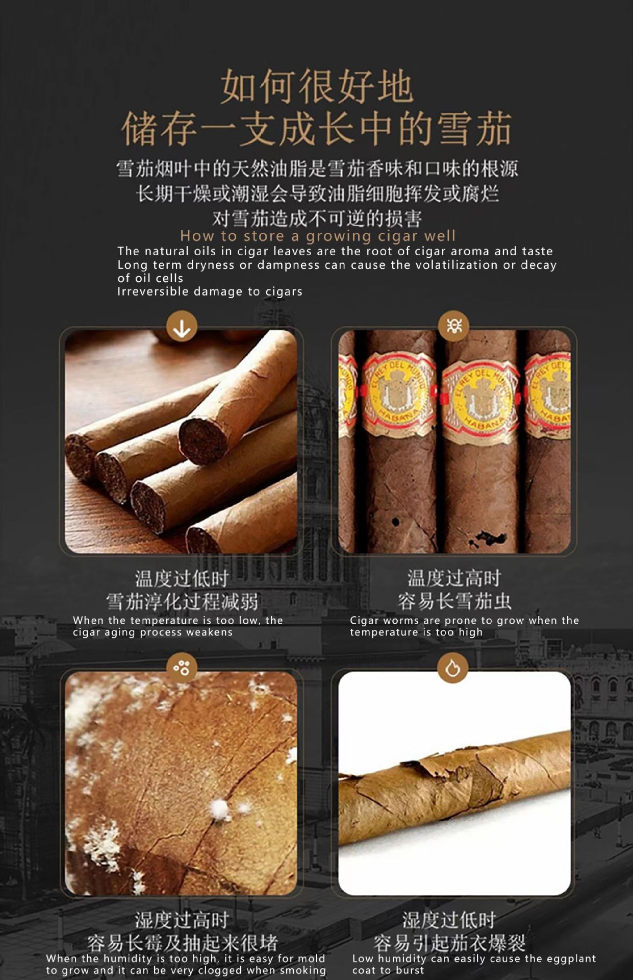 5900a77ac936f88917f499b8cd6883