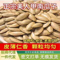 美人甲南瓜子新疆长粒甲美人南瓜籽炒零食批发一件代发零食袋装籽